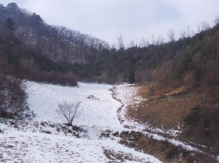 법원경매 2025타경30128 사진7 | 정선군 화암면 백전리 임야 경매