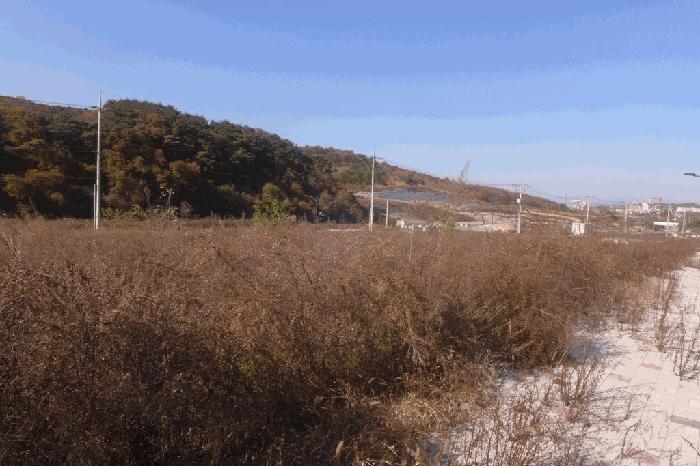 2025타경543 법원경매 사진2 | 경북 경주시 대지 경매