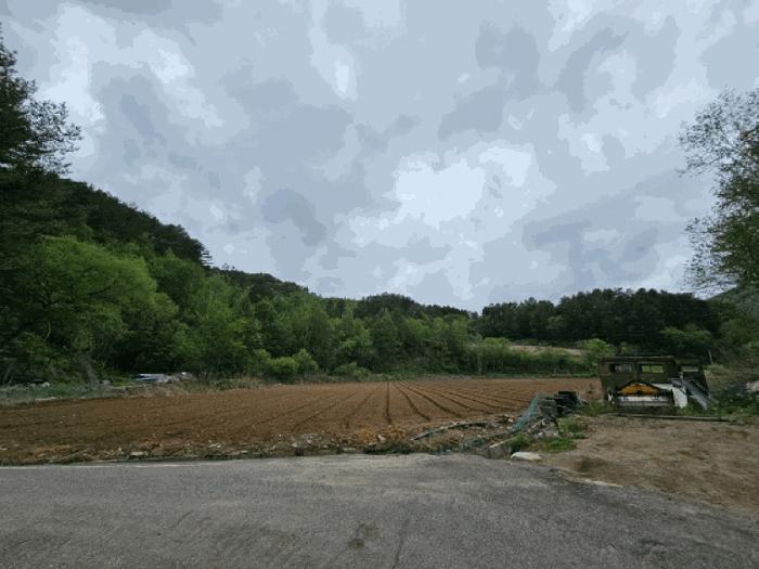 법원경매 2025타경30437 사진3 | 평창군 대관령면 병내리 271 임야 경매