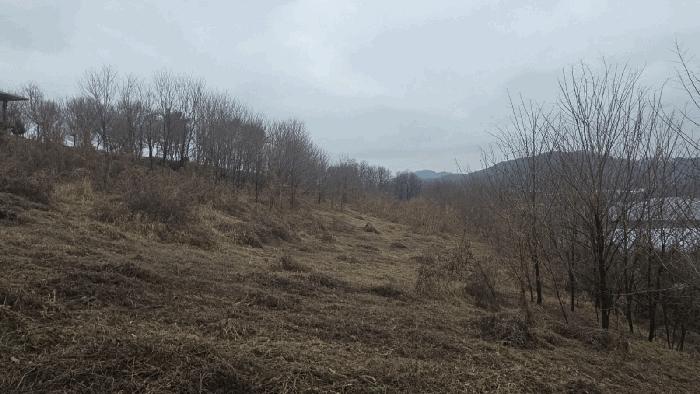 2025타경12894 법원경매 사진2 | 천안 동남구 임야 경매