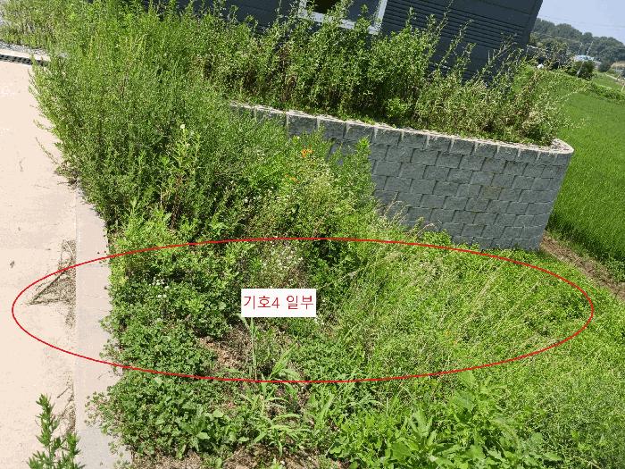 2025타경42289 법원경매 사진2 | 경기 평택시 창고 경매