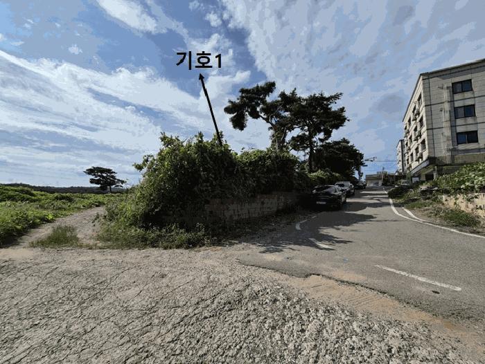 법원경매 2025타경42395 사진2 | 평택시 포승읍 원정리 217-17 임야 경매