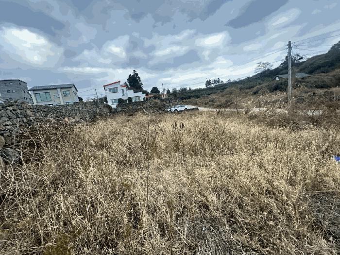 2024타경37089 법원경매 사진3 | 제주 서귀포시 과수원 경매