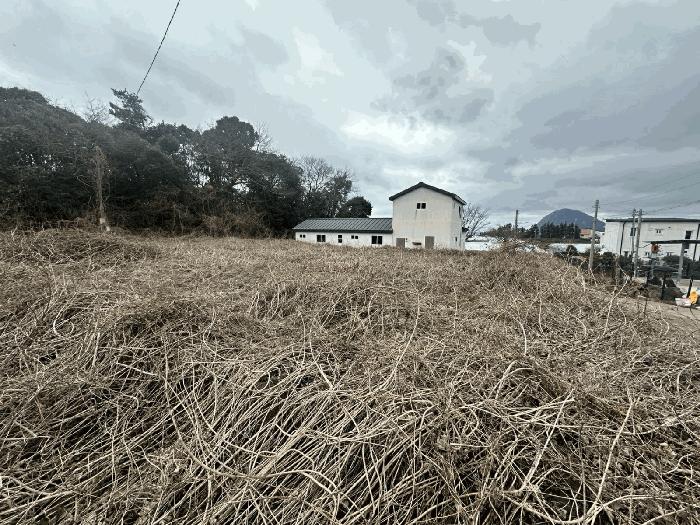 2024타경37089 법원경매 사진5 | 제주 서귀포시 과수원 경매
