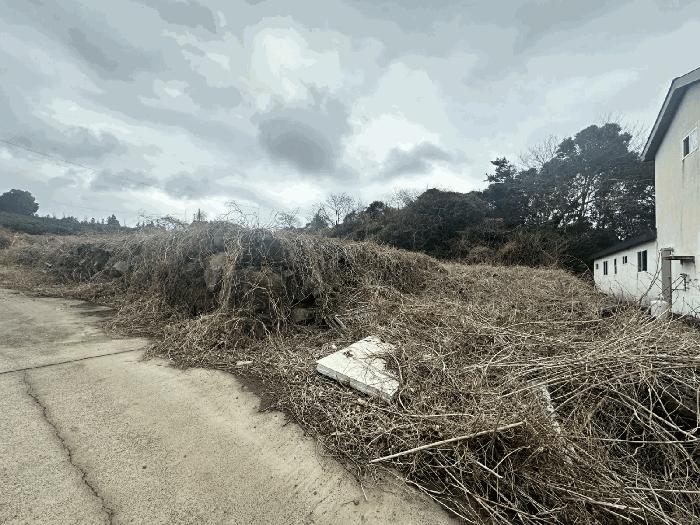 2024타경37089 법원경매 사진9 | 제주 서귀포시 과수원 경매