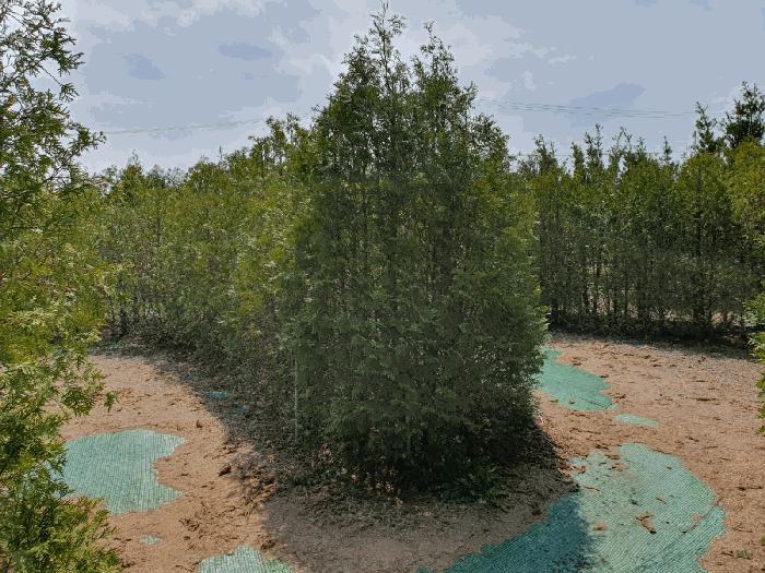 2025타경1007 법원경매 사진3 | 제주 서귀포시 전 경매