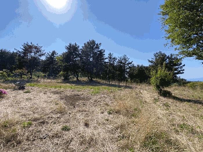 2025타경7904 법원경매 사진5 | 제주 제주시 임야 경매
