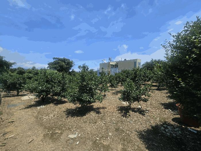 2025타경1177 법원경매 사진3 | 제주 서귀포시 창고 경매