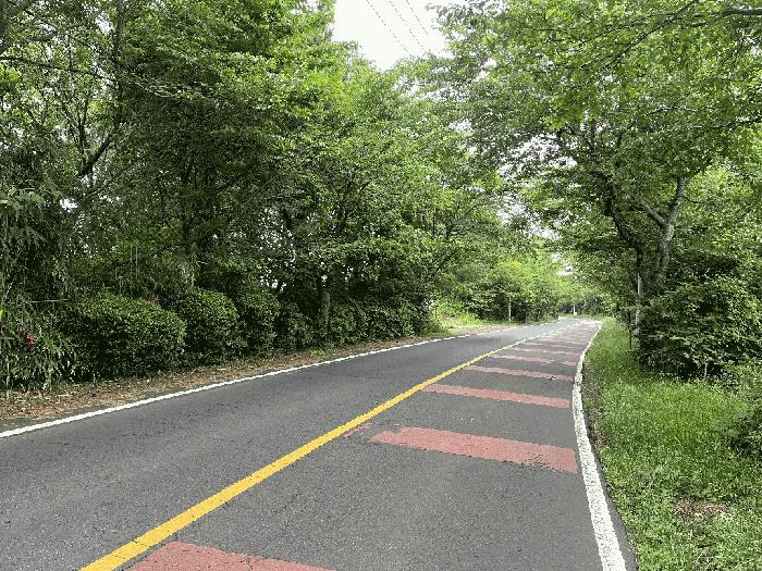 2025타경1258 법원경매 사진2 | 제주 제주시 임야 경매