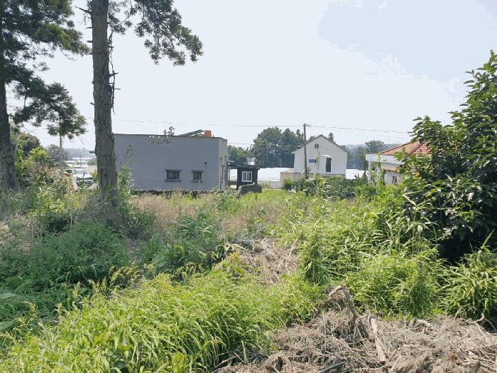 2025타경1447 법원경매 사진3 | 제주 서귀포시 전 경매