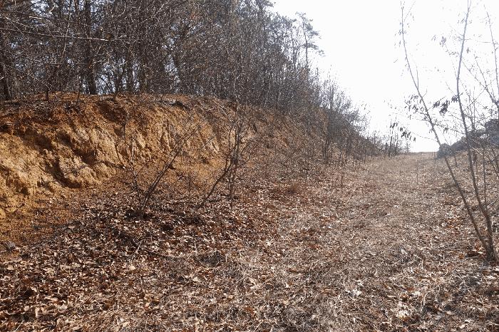 법원경매 2025타경54465 사진2 | 용인시 처인구 남사읍 통삼리 661-2 임야 경매