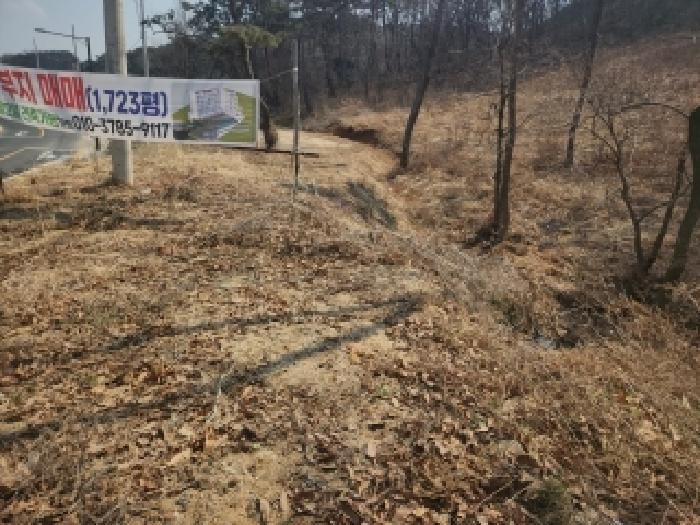 2025타경868 법원경매 사진12 | 인천 중구 임야 경매