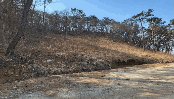 2025타경868 법원경매 사진5 | 인천 중구 임야 경매