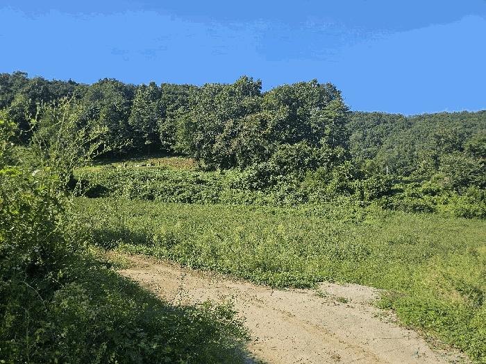 충청북도 괴산군 청안면 문당리 247 법원경매 물건 대표사진
