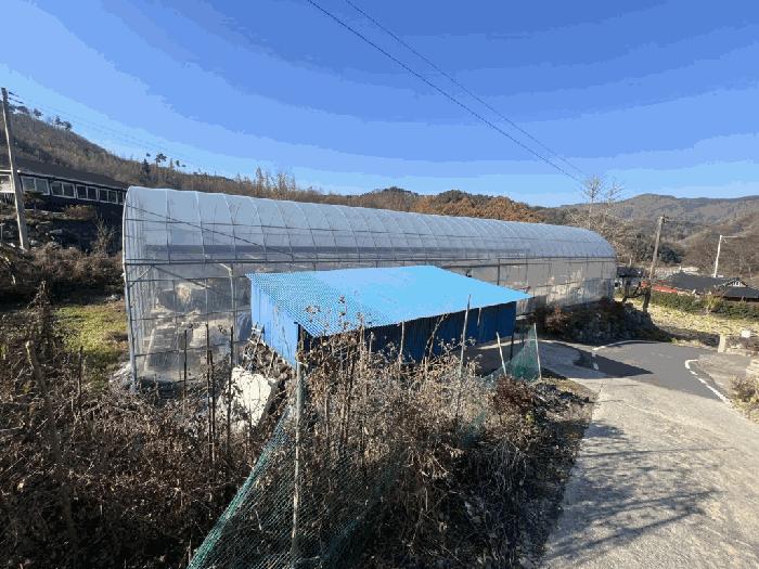 2025타경51984 법원경매 사진4 | 충북 괴산군 전 경매