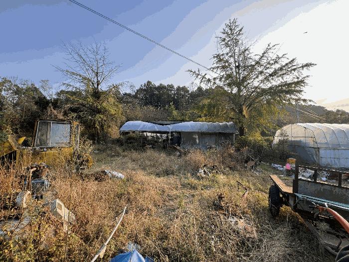 법원경매 2025타경503551 사진8 | 금남면 대박리 330-1 과수원 경매