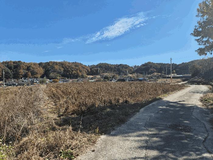 충청남도 금산군 금성면 화림리 434-3 법원경매 물건 대표사진