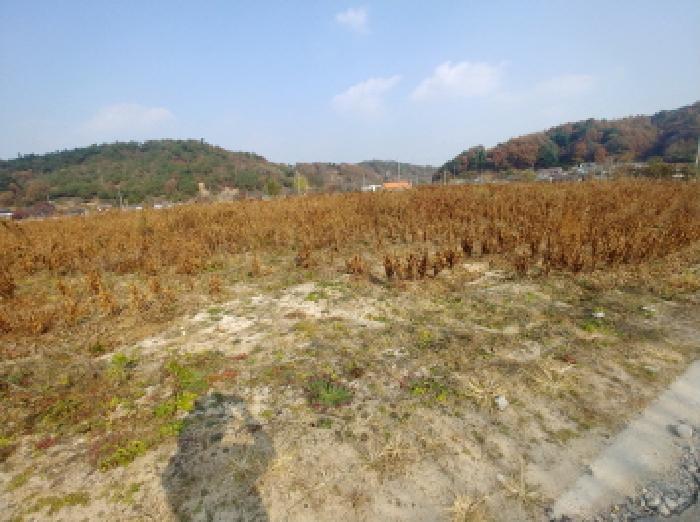 2025타경503725 법원경매 사진6 | 충남 금산군 답 경매
