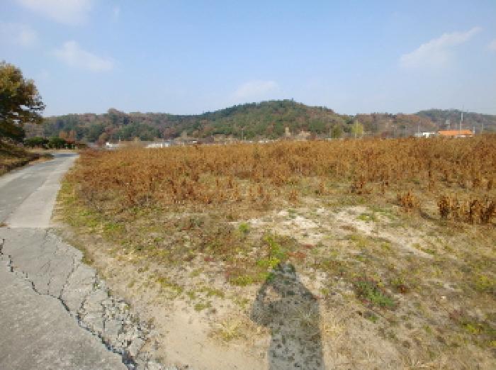2025타경503725 법원경매 사진7 | 충남 금산군 답 경매