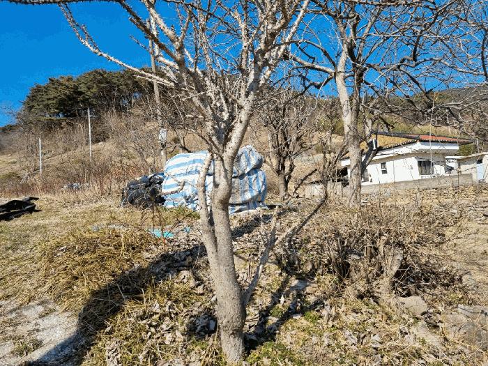 2025타경11297 법원경매 사진8 | 경남 양산시 답 경매