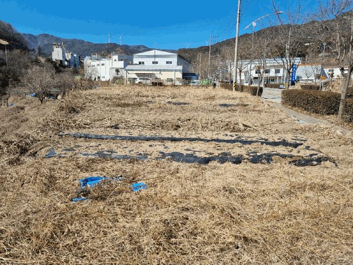 2025타경11297 법원경매 사진7 | 경남 양산시 전 경매