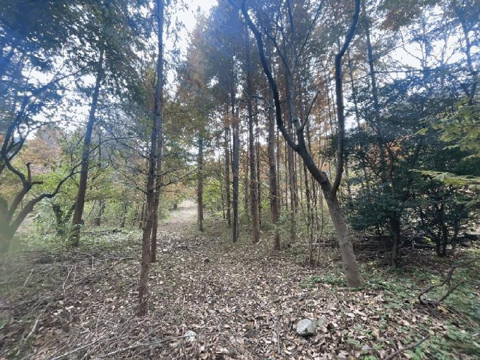 경상남도 창원시 성산구 양곡동 1091 법원경매 물건 대표사진