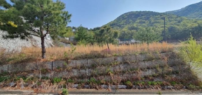2025타경11275 법원경매 사진7 | 경남 김해시 대지 경매