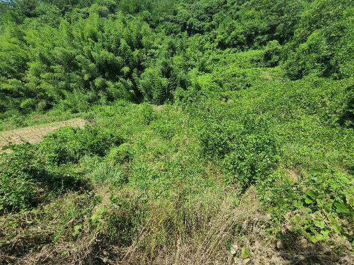2025타경263 법원경매 사진32 | 경남 의령군 전 경매