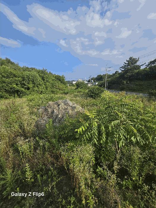 경상남도 함안군 칠서면 대치리 954 법원경매 물건 대표사진