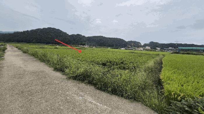 경상남도 함안군 군북면 중암리 816-8 법원경매 물건 대표사진