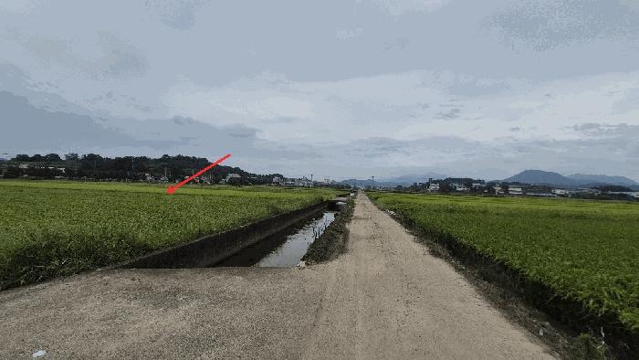 2025타경20868 법원경매 사진4 | 경남 함안군 답 경매