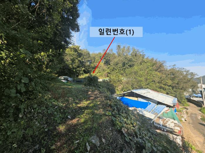 경남 함안군 칠원읍 구성리 산64 임야 사진 6