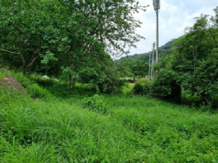 경기도 광주시 퇴촌면 도수리 497-1 법원경매 물건 대표사진