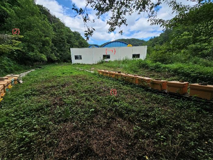법원경매 2024타경33833 사진2 | 포항시 북구 죽장면 월평리 690 전 경매