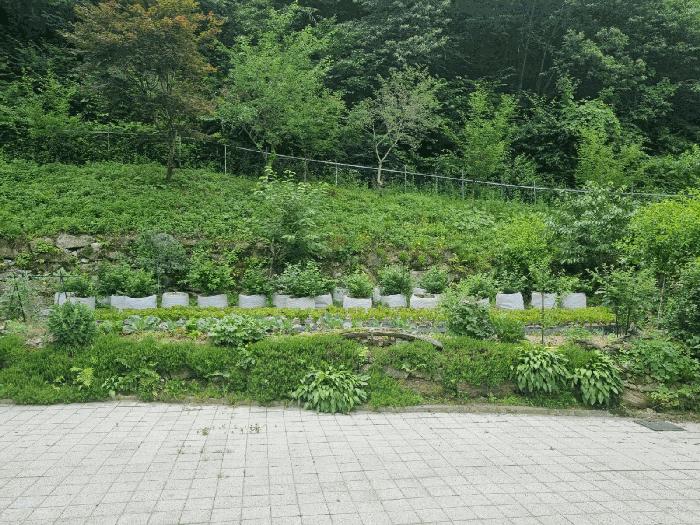 법원경매 2025타경52399 사진6 | 광주시 남한산성면 오전리 58 근린주택 경매