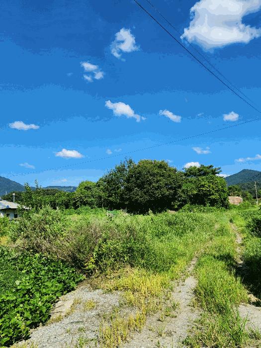 2024타경33975 법원경매 사진3 | 충북 충주시 근린주택 경매