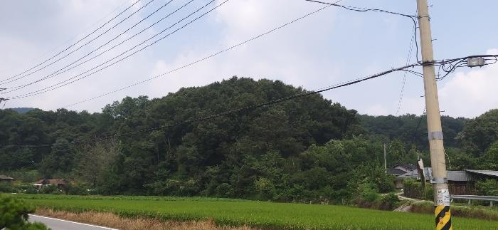 2024타경34152 법원경매 사진7 | 충북 충주시 과수원 경매