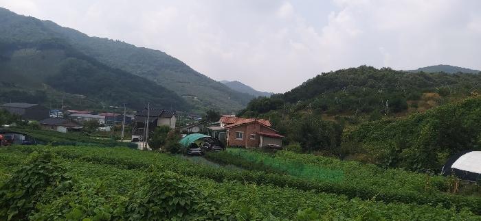 2024타경34152 법원경매 사진14 | 충북 충주시 임야 경매