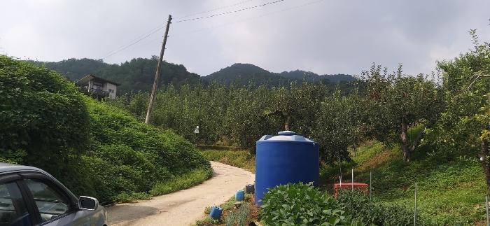 2024타경34152 법원경매 사진16 | 충북 충주시 임야 경매