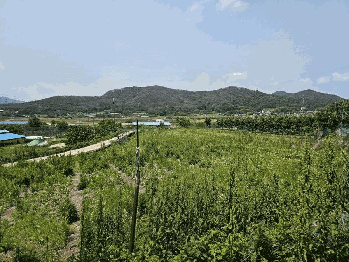 경상북도 포항시 북구 기계면 화봉리 307-1 법원경매 물건 대표사진