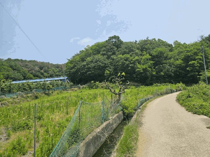 2025타경366 법원경매 사진3 | 포항 북구 전답 경매