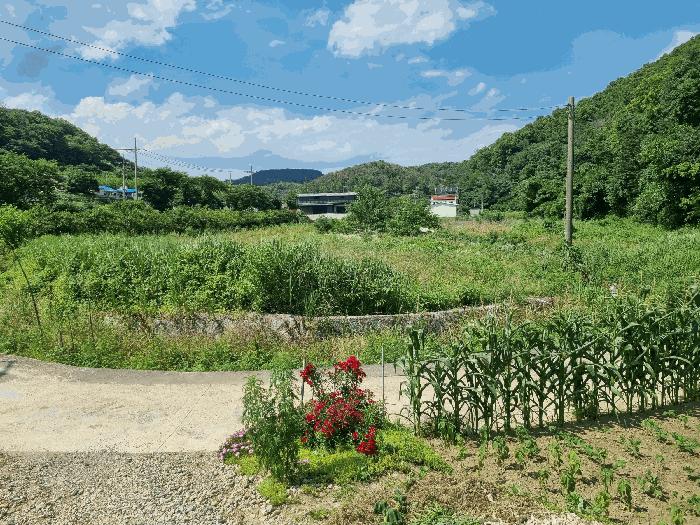 법원경매 2025타경376 사진2 | 포항시 남구 동해면 전답 경매