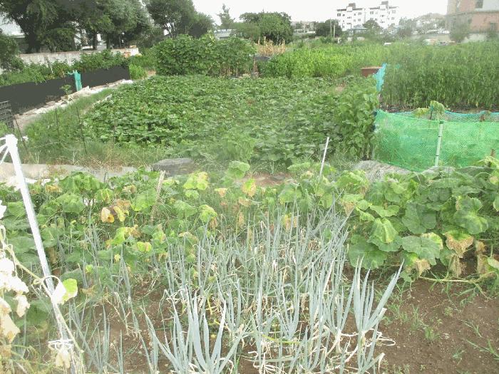 2025타경3896 법원경매 사진4 | 포항 남구 대지,임야,전답 경매