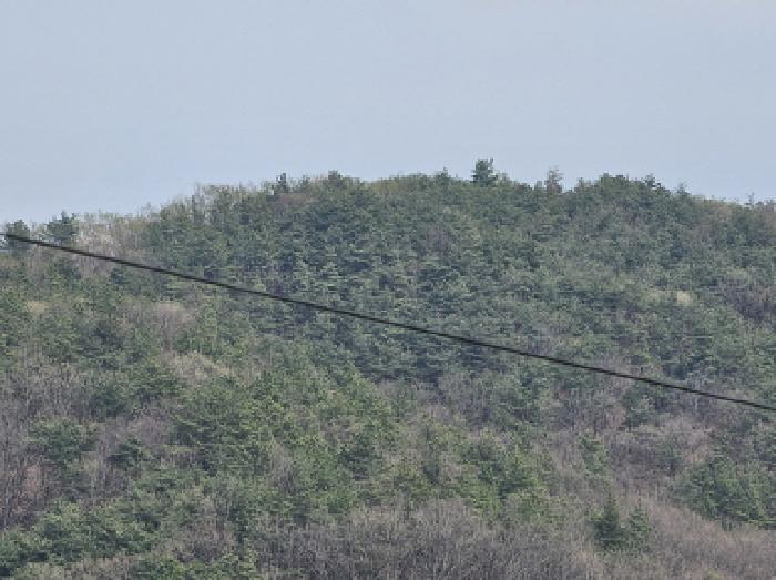 충청북도 충주시 앙성면 조천리 산39-13 법원경매 물건 대표사진