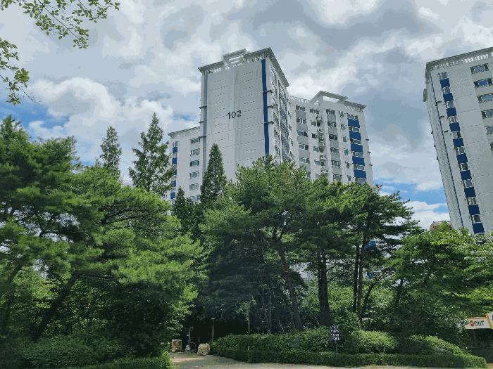 법원경매 2025타경3968 사진2 | 포항시 남구 대잠동 971-1 대지 경매