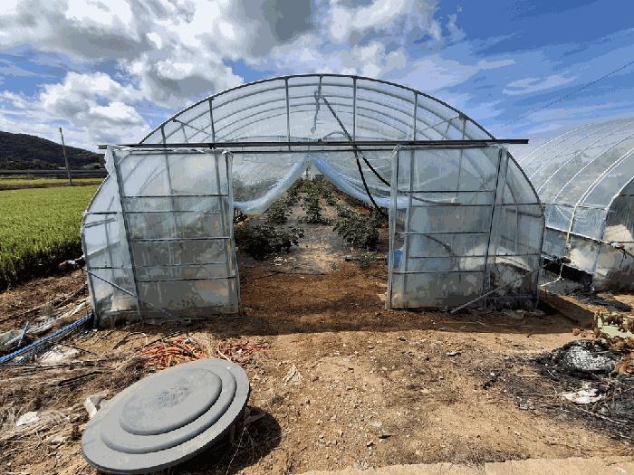 2025타경320 법원경매 사진4 | 전북 고창군 전답 경매
