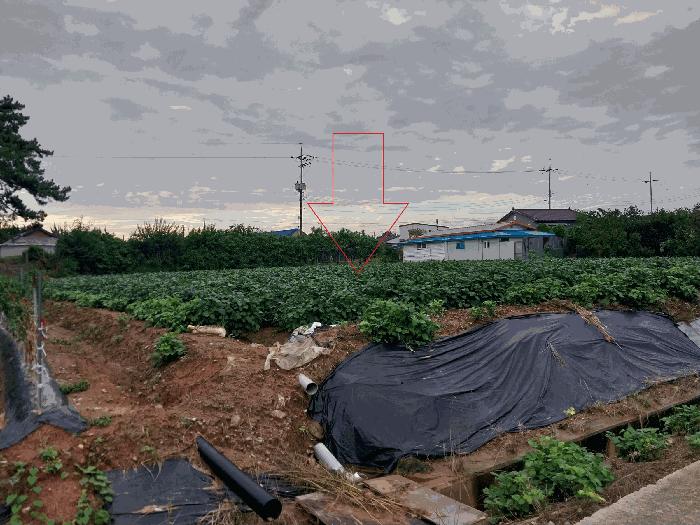 전북특별자치도 부안군 백산면 덕신리 854 법원경매 물건 대표사진