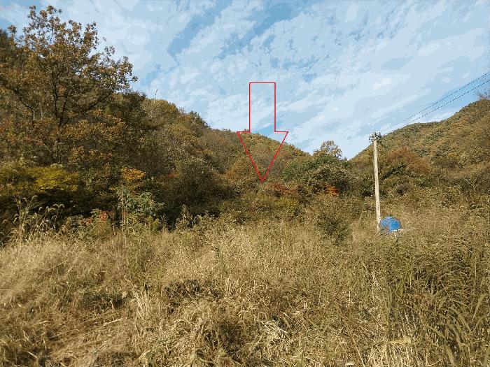 전북특별자치도 정읍시 쌍암동 1019 법원경매 물건 대표사진