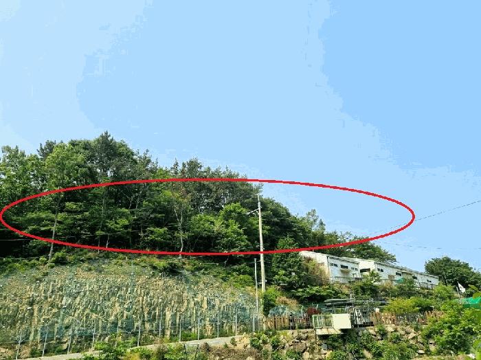 2025타경532 법원경매 사진2 | 부산 기장군 창고 경매