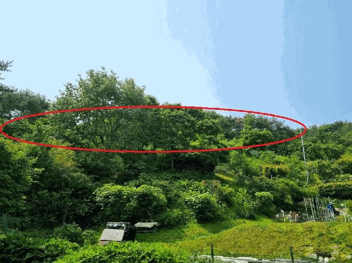 2025타경532 법원경매 사진4 | 부산 기장군 창고 경매